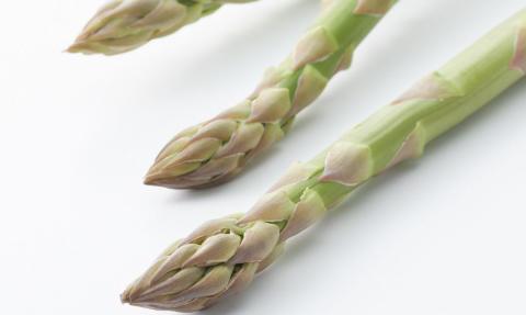 先行予約 アスパラガス レギュラー 約1kg[2025年5月頃から順次発送予定] 令和7年産 [飯塚農園] 【011S019】