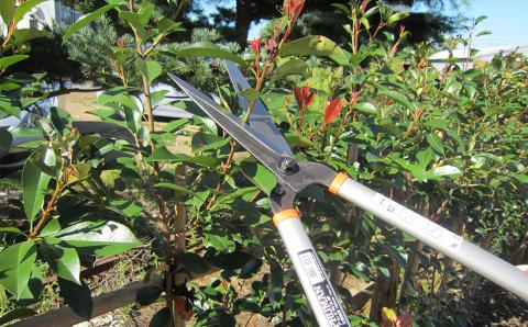 アルミ刈込鋏 楕円アルミハンドル調質又空 燕三条製 園芸・庭仕事に【012P058】