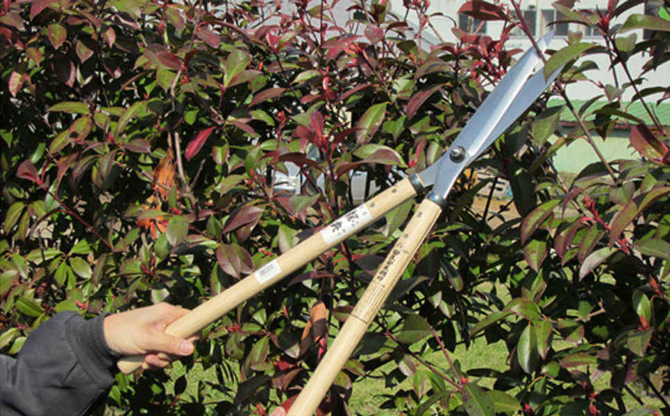 [五十嵐刃物工業] 樹木の剪定に便利なハサミ 安来鋼付積層鋼刈込鋏【100P007】