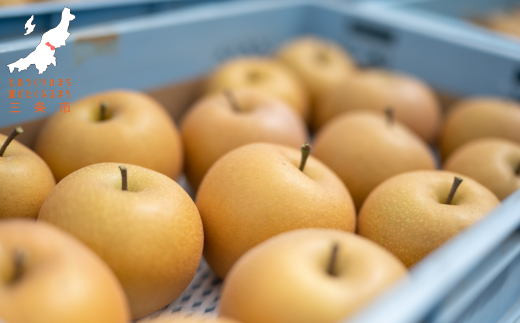 返礼品なし 寄付のみ ものづくりのまち・アウトドアのまち三条 応援受付 寄附 新潟県三条市 1口2,000円 【002S001】