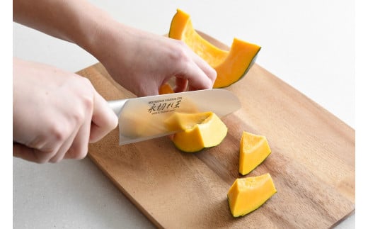 三徳包丁 永切れ王 オールステンレス 新生活 一人暮らし 【010S083】