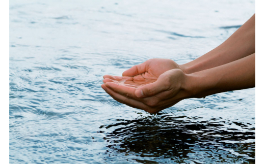 洋酒樽で貯蔵した日本酒飲み比べセット（300ml×3本）日本酒 ギフトセット 新潟県 [福顔酒造] 【010S094】