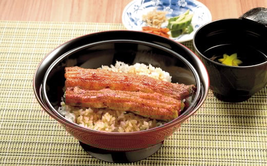 うなぎと鯉の料理専門店 お食事券 3,000円（1,000円券×3枚） 駅から徒歩５分 鰻 鯉 専門料理 和食 食事処 [鈴の音] 10000円以下 1万円以下 【010S353】