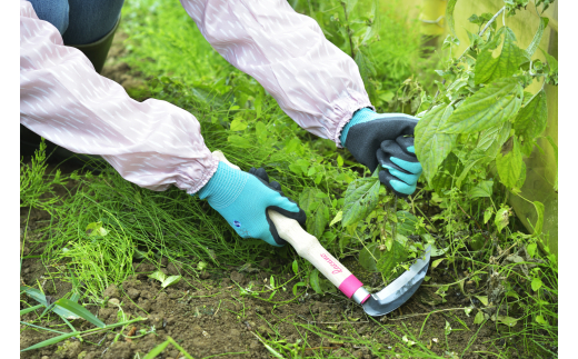 [Lacuno] 小鎌 120mm＋ステン鋸鎌 ガーデニングや園芸、農作業に！ 【011S002】