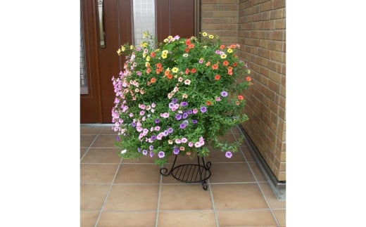 コンビネーションスタンド L プランタースタンド ガーデニング 園芸 植木鉢スタンド 燕三条製 [株式会社オビタス] 【011S117】