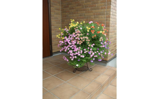 コンビネーションスタンド M プランタースタンド ガーデニング園芸 植木鉢スタンド 燕三条製 [株式会社オビタス] 10000円以下 1万円以下 【011S118】