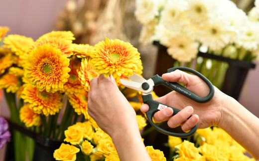 生花はさみ ハンドクリエーションF170黒刃 レッド 花ハサミ 園芸ハサミ 生花用 園芸用品 ガーデニング用品 [坂源] 【011S125】