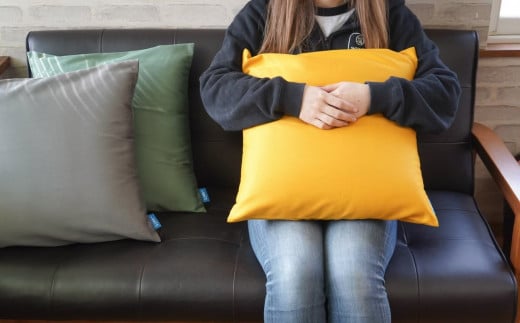 クッションカバー＆ティッシュボックスケース グリーン シンプル 丈夫 国産帆布 [+salt (プラスソルト)] 【013S067】