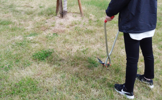 立ち作業用草刈りハサミ 草刈り鋏 ガーデニング 除草 燕三条製 [株式会社オビタス]【013S072】