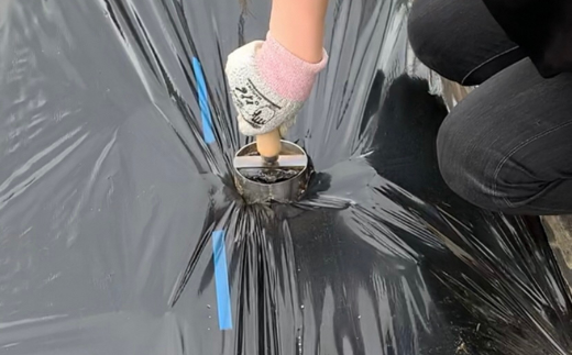 マルチゴテ 野菜や花の苗の植え付けに 園芸用品 ガーデニング用品 本格ガーデニングツール 燕三条製 [浅野木工所] 【017S062】