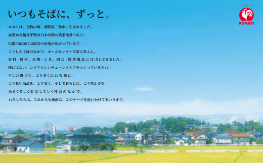 ホースリールギアスピードGIGA 20m KGHN20DD(DGY) ホース ガーデニング 水やり 散水 園芸 [Breezy Green] 【017S100】