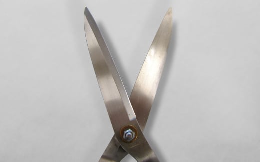 [カネノリ] 日立安来鋼付ステン刈込鋏 鋼典 火造り鍛造 刈込ばさみ ステンレス 園芸 ガーデニング [五十嵐刃物工業] 【023S007】