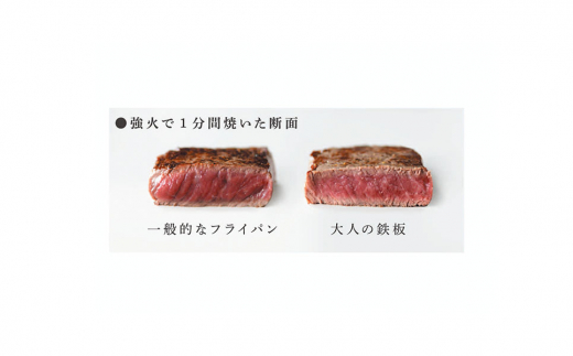 [大人の鉄板] 4.5mmの厚みが肉の旨みを引き出す フライパン26cm 蓋付き【025P014】
