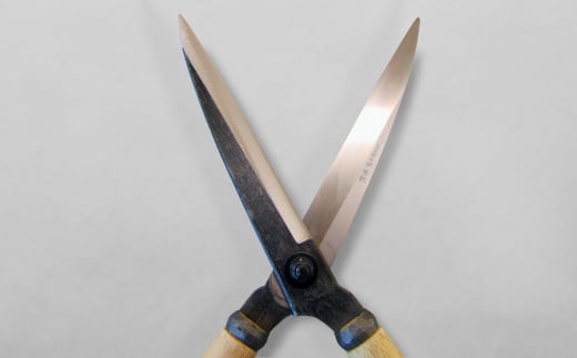 [カネノリ] 日立安来鋼付刈込鋏 青紙 鋼典 火造り鍛造 刈込ばさみ 園芸 ガーデニング [五十嵐刃物工業]【034S006】
