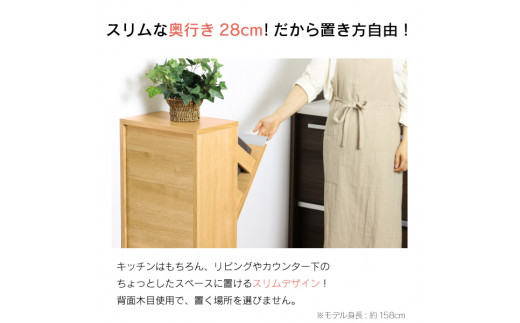 木製2分別ダストボックス（ナチュラル）おしゃれ インテリア 収納スペース ゴミ箱 完成品 燕三条製 [川口工器]【069S002】