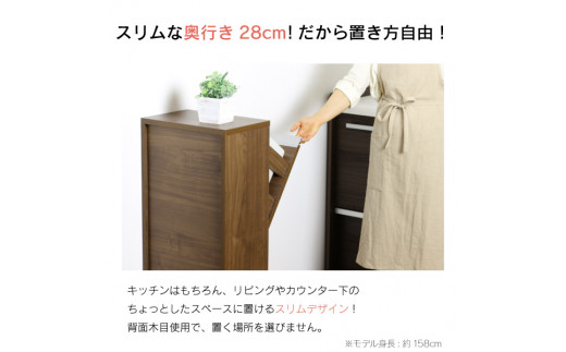 木製2分別ダストボックス（ブラウン）ゴミ箱 おしゃれ インテリア 完成品 燕三条製 [川口工器]【069S003】