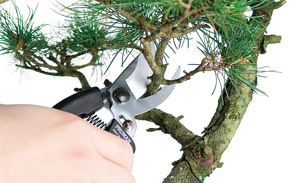 アルミ鋼付刈込鋏&剪定鋏 プルーマンアルミ鋼付刈込 燕三条製 園芸・庭仕事に【020P105】