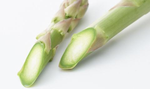 先行予約 アスパラガス レギュラー 約1kg[2025年5月頃から順次発送予定] 令和7年産 [飯塚農園] 【011S019】