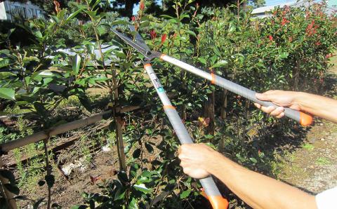 アルミ刈込鋏 楕円アルミハンドル調質又空 燕三条製 園芸・庭仕事に【012P058】