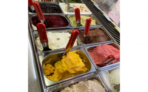 手作りジェラートアソートセット 乳化安定剤・卵・小麦不使用 ジェラートマエストロの作るアイスのセット【010P199】