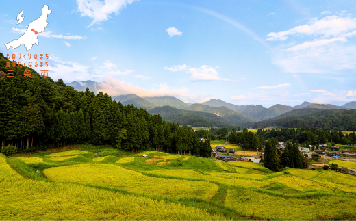 返礼品なし 寄付のみ ものづくりのまち・アウトドアのまち三条 応援受付 寄附 新潟県三条市 1口10,000円 【010S470】