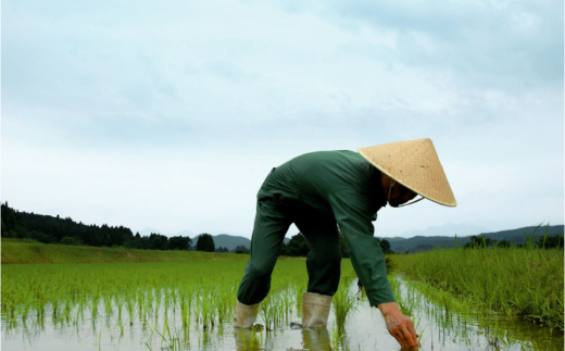 極甘めっちゃ甘口。FUKUGAO 500ml & ルレクチェのお酒 500ml 日本酒 甘口 リキュール 初心者向け 飲みやすい [福顔酒造]【011S177】
