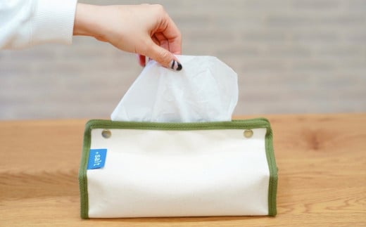 クッションカバー＆ティッシュボックスケース グレー シンプル 丈夫 国産帆布 [+salt (プラスソルト)] 【013S068】