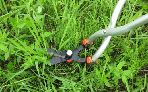 立ち作業用草刈りハサミ 草刈り鋏 ガーデニング 除草 燕三条製 [株式会社オビタス]【013S072】