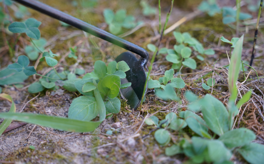 鍛冶屋さんがつくった土いじり小道具4点セット 帆布バック付 燕三条製 園芸用品 スコップ 鎌 コテ [相田合同工場] 【041S012】
