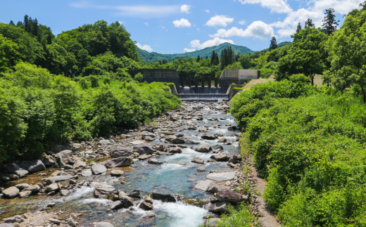 [定期便500ml×24本×9か月]ナチュラルミネラルウォーター 計500ml×216本 9か月連続でお届け 山と雪のうるおい 軟水 天然水 湧水 ミネラルウォーター 防災用品 防災グッズ【059S011】