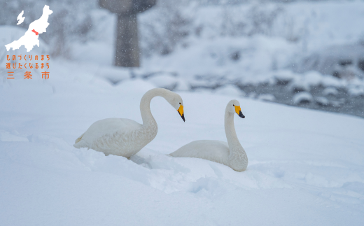 返礼品なし 寄付のみ ものづくりのまち・アウトドアのまち三条 応援受付 寄附 新潟県三条市 1口30,000円 【030S073】