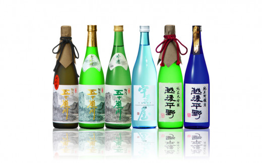 純米大吟醸・大吟醸・吟醸・大吟醸原酒 飲み比べセット（720ml×6本） 日本酒 新潟清酒 地酒 [福顔酒造] 【057P001】