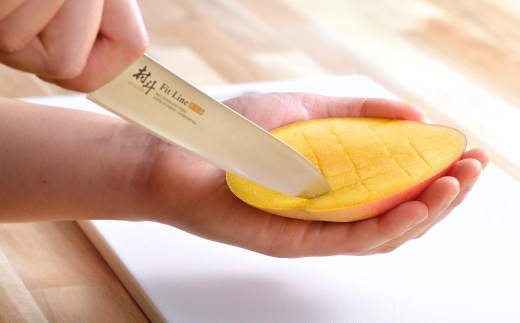 [村斗] FIT-LINE 三徳 包丁 三徳包丁 庖丁 キッチン用品 燕三条製 新生活 一人暮らし [下村工業] 【011S094】