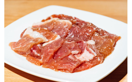 新潟県産豚 越後の特選だれ漬けセット 三条産和梨でやわらか 計10パック 約2.1kg【019S003】