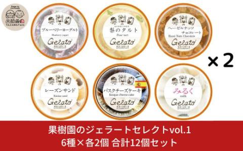 果樹園のジェラートセレクトvol.1 [6種×各2個] 合計12個セット ジェラート詰合せ アイス詰合せ [田沢農園] 【019S036】