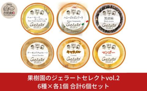 果樹園のジェラートセレクトvol.2 [6種×各1個] 合計6個セット ジェラート詰合せ アイス詰合せ  [田沢農園] 【010S248】