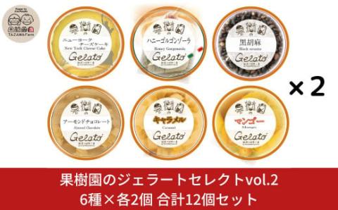 果樹園のジェラートセレクトvol.2 [6種×各2個] 合計12個セット  ジェラート詰合せ アイス詰合せ  [田沢農園] 【019S037】