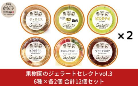 果樹園のジェラートセレクトvol.3 [6種×各2個] 合計12個セット  ジェラート詰合せ アイス詰合せ  [田沢農園] 【019S038】