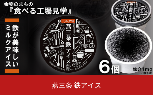 「食べる工場見学」 燕三条鉄アイス（ミルクベースのアイス） 【010P092】