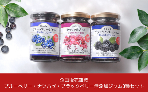ブルーベリー・ナツハゼ・ブラックベリー無添加ジャム3種セット【015S098】
