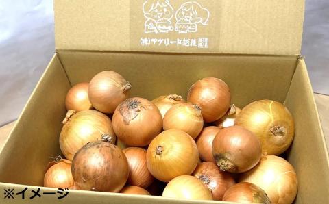 【先行予約・令和8年6月発送予定】おいしいね 新玉ねぎ サイズ無選別 8kg[ZA130]