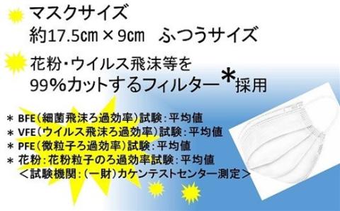 ブルボン　不織布マスク100枚（50枚/箱×2箱）