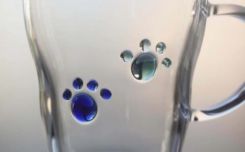 耐熱ガラス製 わんこ・にゃんこ足跡マグ 300ml（2個）