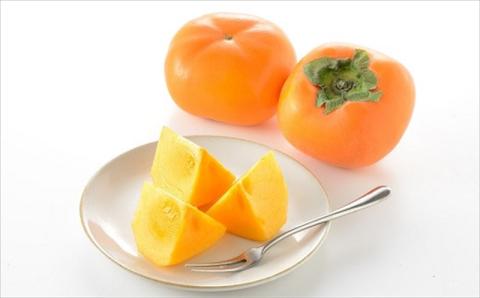 【先行予約・令和8年秋発送】とろける甘みの新道柿 5kg 種なし柿[ZB119]