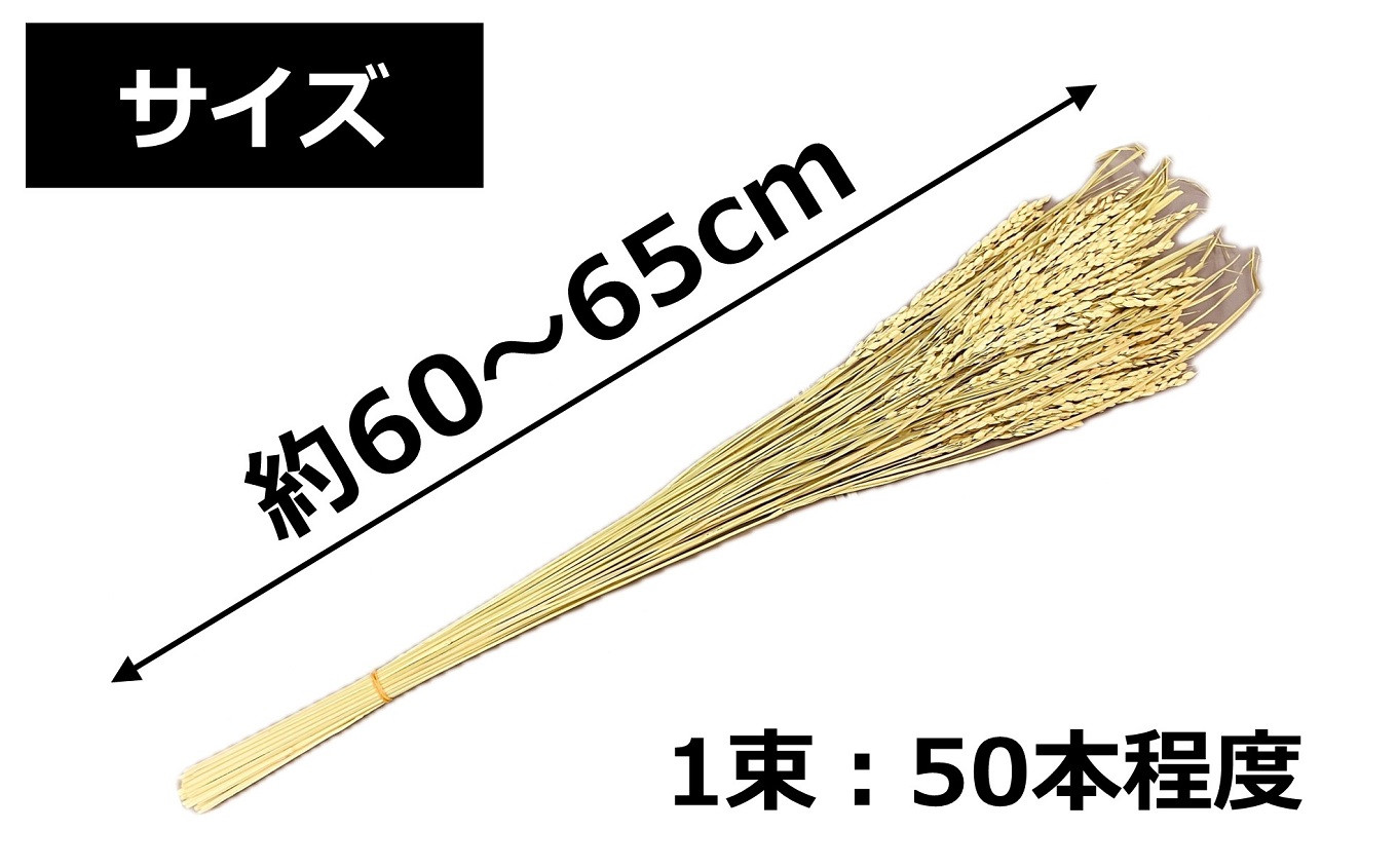 コシヒカリの稲穂 飾り素材 インテリア用