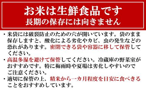 【令和7年産米】新之助 無洗米 6kg（3kg×2袋） 徳永農園[Y0138]
