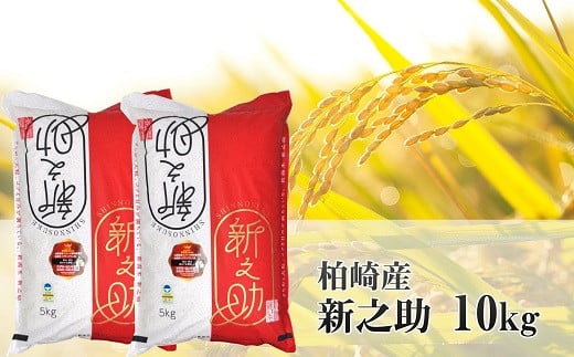 【令和7年産新米】新之助 白米 10kg（5kg×2袋）新潟県認証特別栽培米 お米 新潟県産 アグリーホンマ[Y0368]