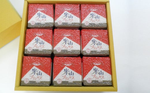 新潟産最上級コシヒカリ「米山プリンセス」真空パック 無洗米 2.7kg（300g×9袋）令和7年産米 徳永農園[Y0457]