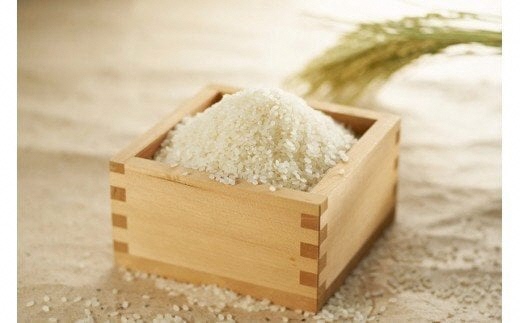 【令和7年産新米】じょんのびの里コシヒカリ 白米 5kg 棚田米[Y0465]