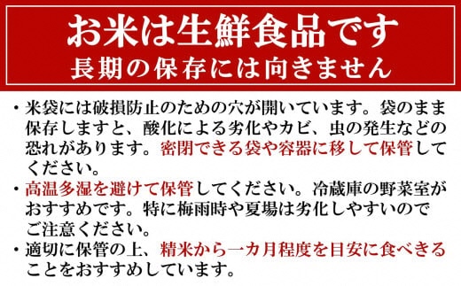 令和7年産新米【五ツ星お米マイスター厳選】コシヒカリ 白米 10kg（5kg×2袋）[Y0562]